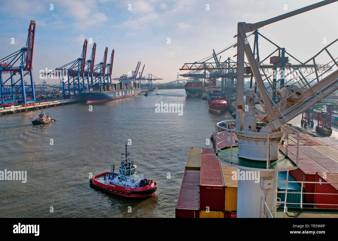 Terminal Eurokai und HHLA Terminal Burchardtkai mit Containerschiffe im Hamburger Hafen, Deutschland, Hamburg Stockfoto