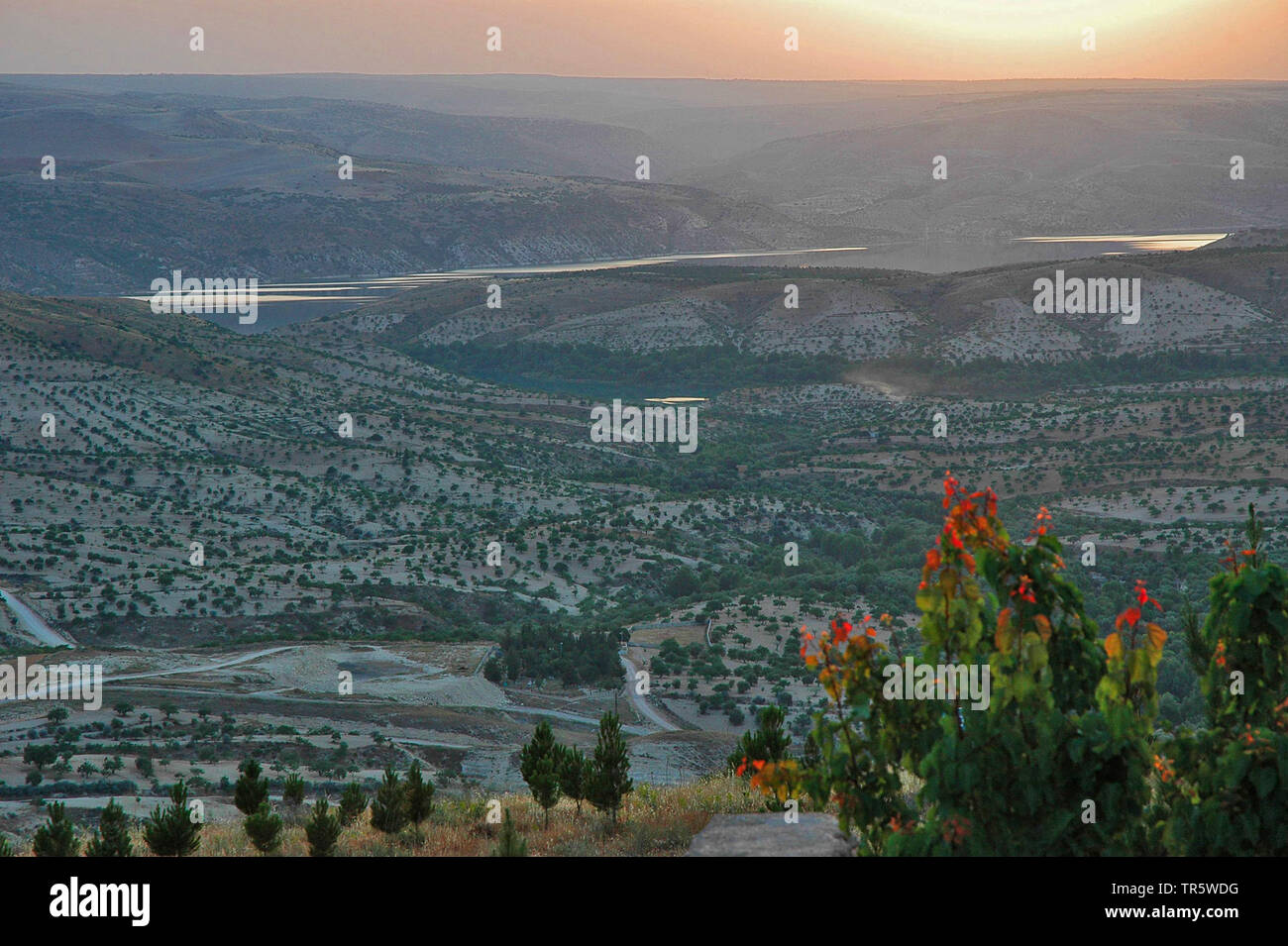 Euphrat in der Nähe von Birecik, Türkei, Anatolien, East Anatolia Stockfoto