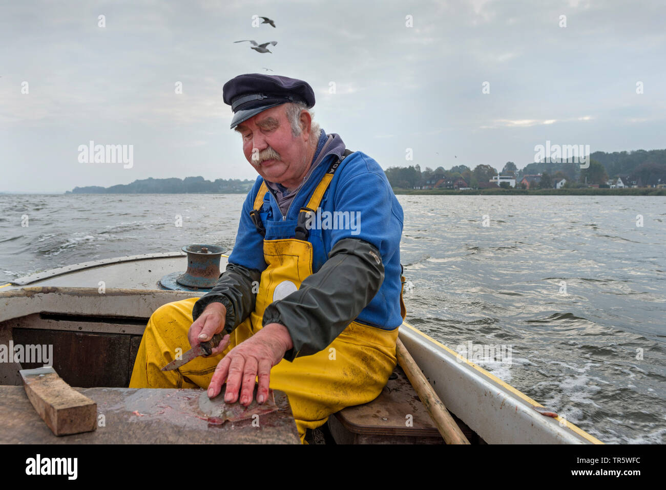 Fischer in seinem Boot auf der Schlei Einlass, Deutschland, Schleswig-Holstein Stockfoto