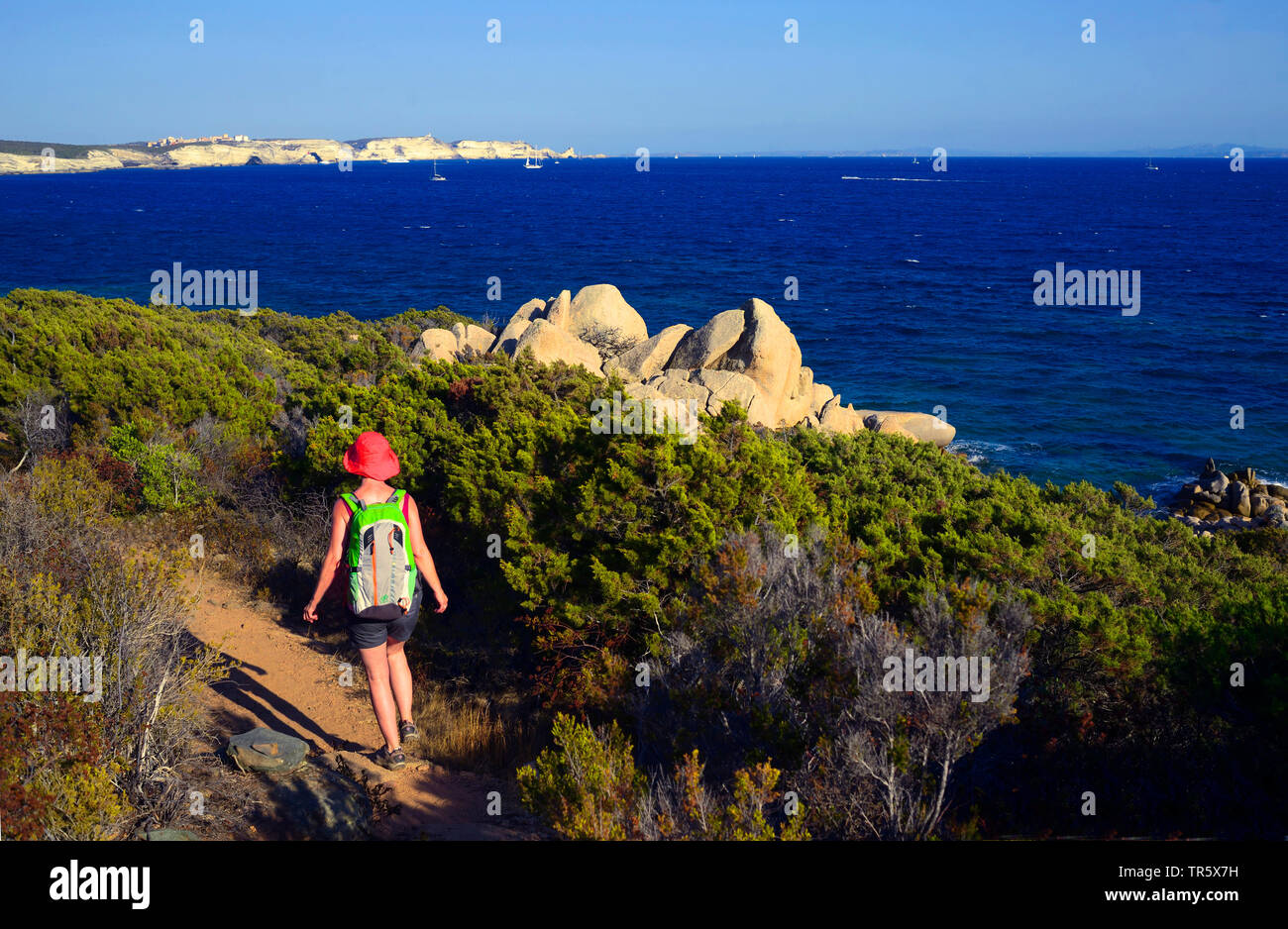 Trek im Südwesten der Insel Korsika in der Nähe des Strandes von Paraguano und die Stadt Bonifacio, Frankreich, Korsika, Bonifacio Stockfoto