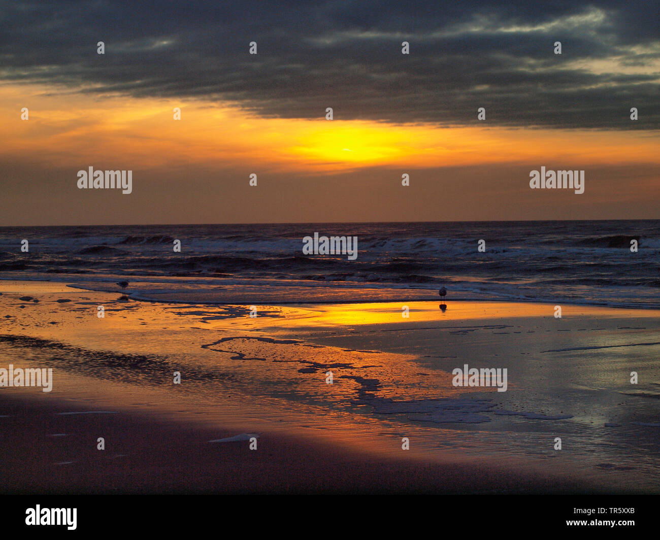 Nordsee strand bei Sonnenuntergang, Niederlande, Zandvoort Stockfoto