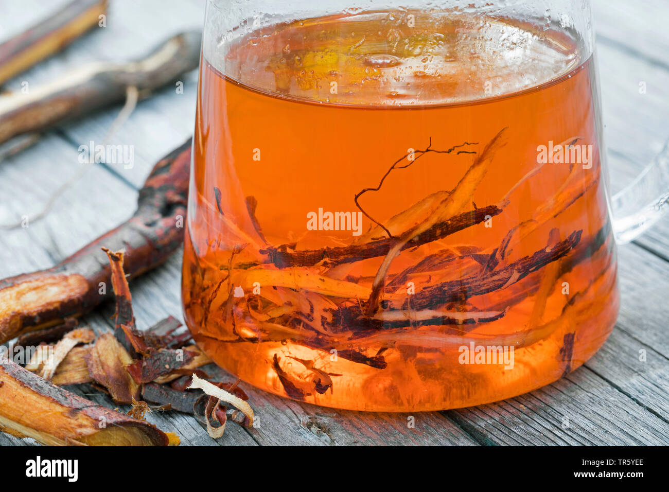 Blackthorn, Schlehe (Prunus spinosa), selbstgemachten Tee aus den Wurzeln der Schlehdorn, Deutschland Stockfoto