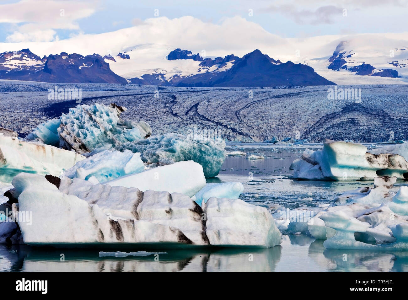 , Gletscherlagune Joekulsarlon, Vatnajoekull-Nationalpark, Island, Osten Island, Hornarfjoerdur, Nationalpark Vatnajoekull Stockfoto