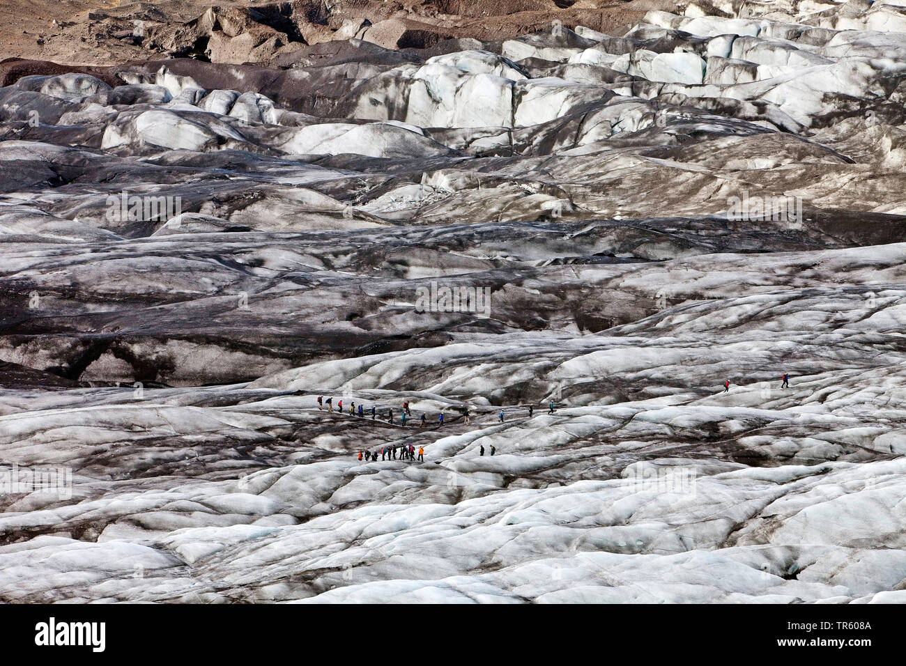 Personen, die auf Gletscher im Nationalpark Vatnajoekull Svinafellsjoekull, Hornarfjoerdur, Island, Osten Island, Nationalpark Vatnajoekull Svinafellsjoekull Stockfoto