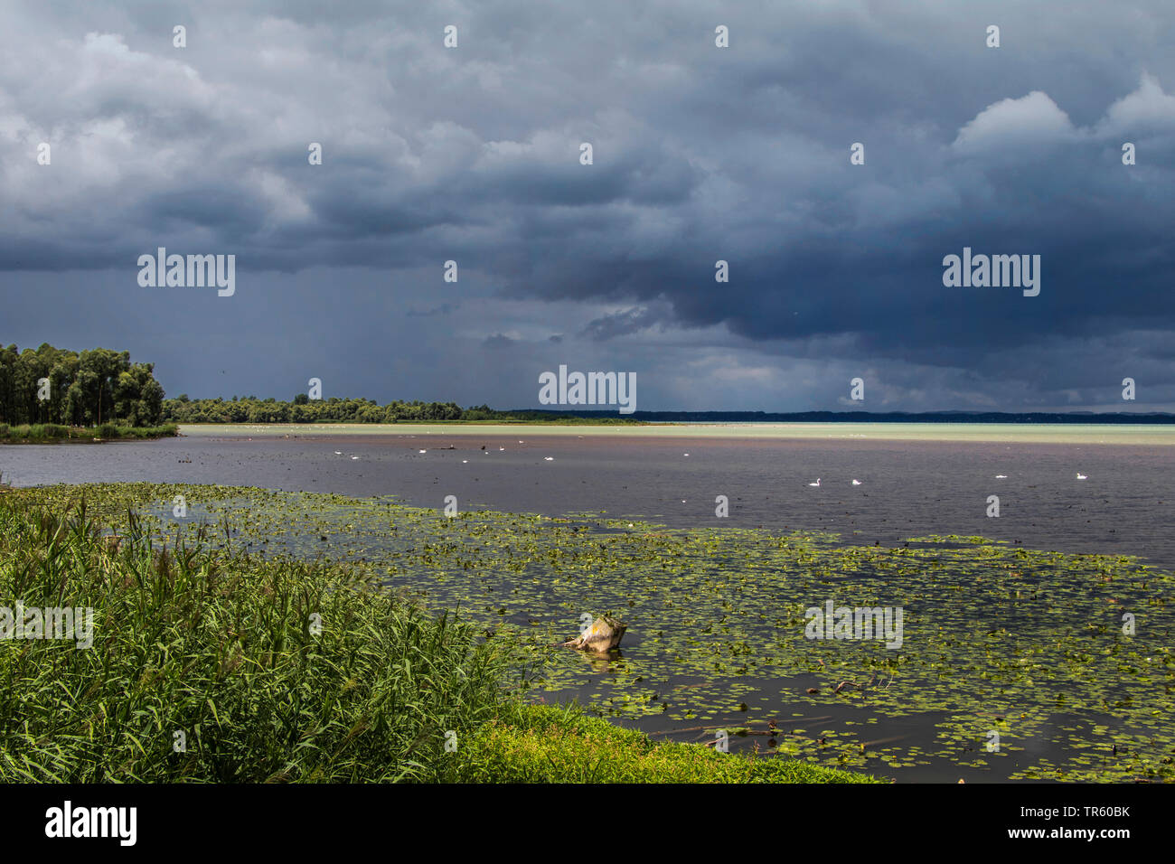 Gewitterfront über den Chiemsee, Deutschland, Bayern, Chiemsee Stockfoto