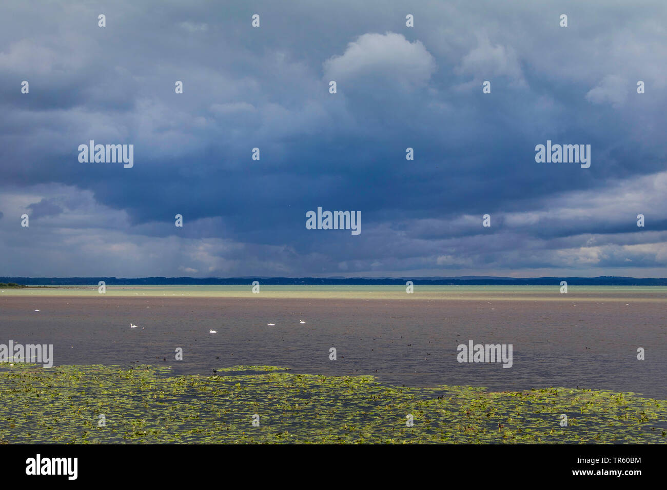 Gewitterfront über den Chiemsee, Deutschland, Bayern, Chiemsee Stockfoto
