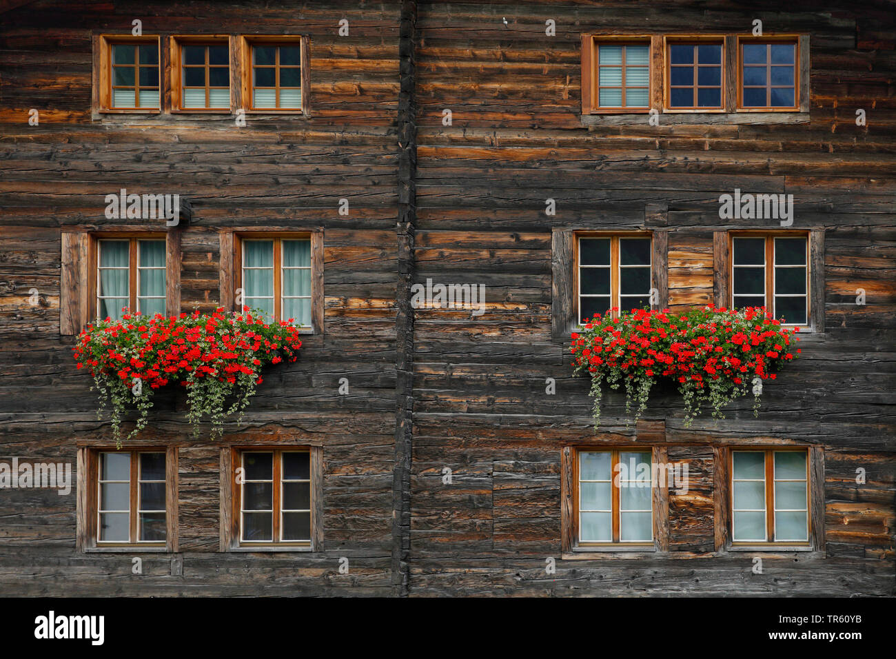 Holzhaus mit Geranien in Blumenkästen, Schweiz, Wallis Stockfoto