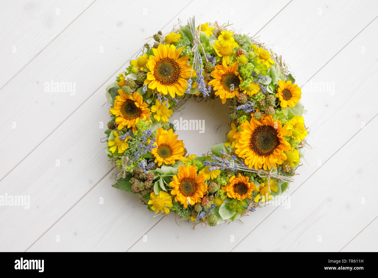 Gemeinsame Sonnenblume (Helianthus annuus), Flower Garland mit Sonnenblumen und Lavendel Stockfoto