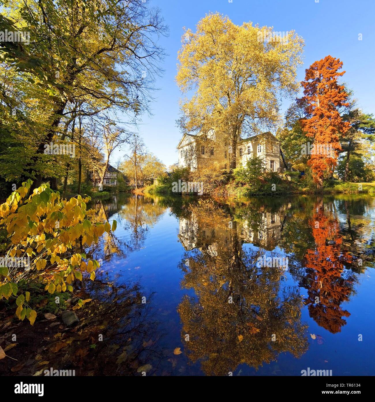 Schlosspark mit Eller in Düsseldorf Schloss, Herrenhaus, Deutschland, Nordrhein-Westfalen, Düsseldorf Stockfoto