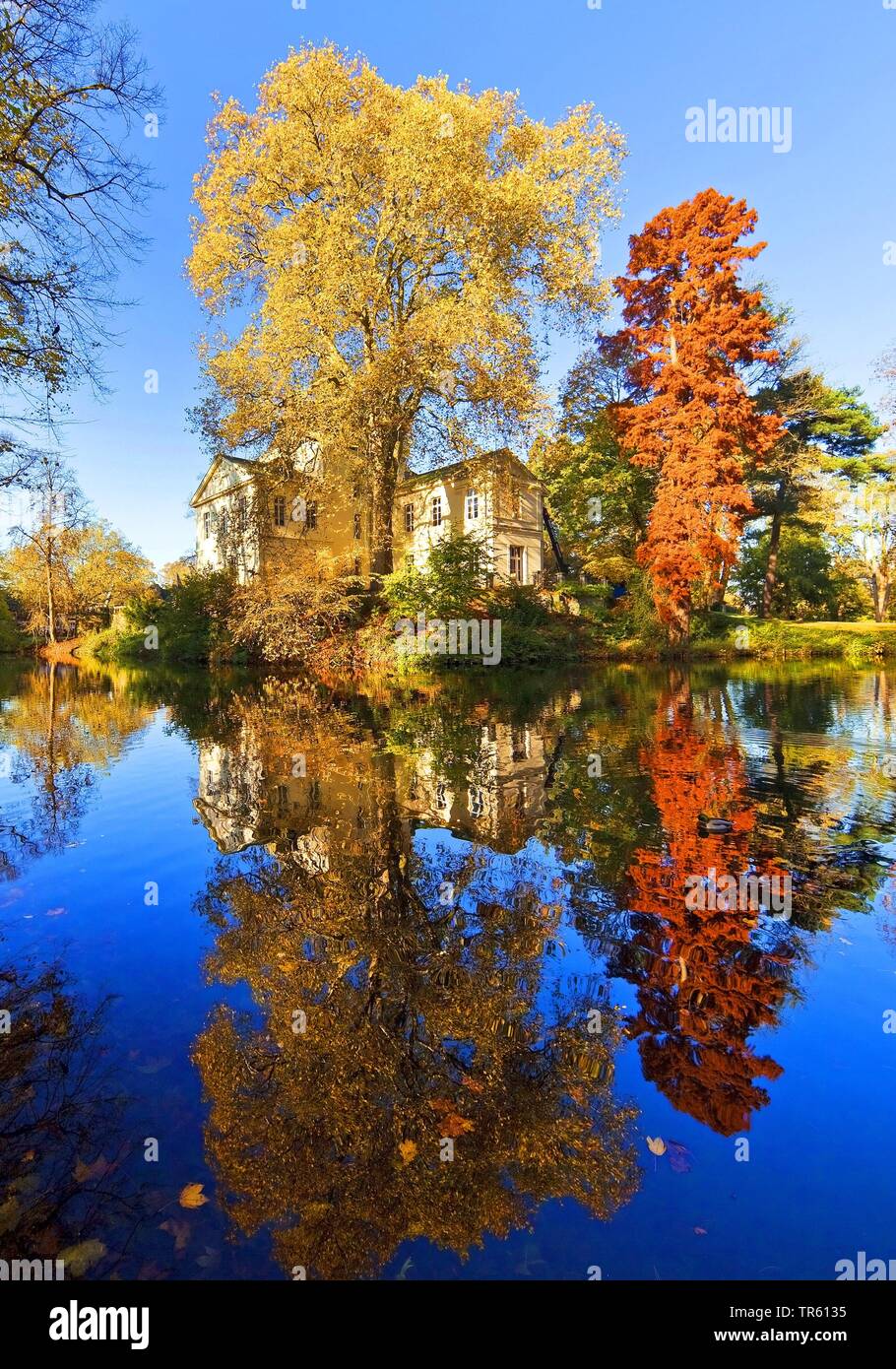 Schlosspark mit Eller in Düsseldorf Schloss, Herrenhaus, Deutschland, Nordrhein-Westfalen, Düsseldorf Stockfoto