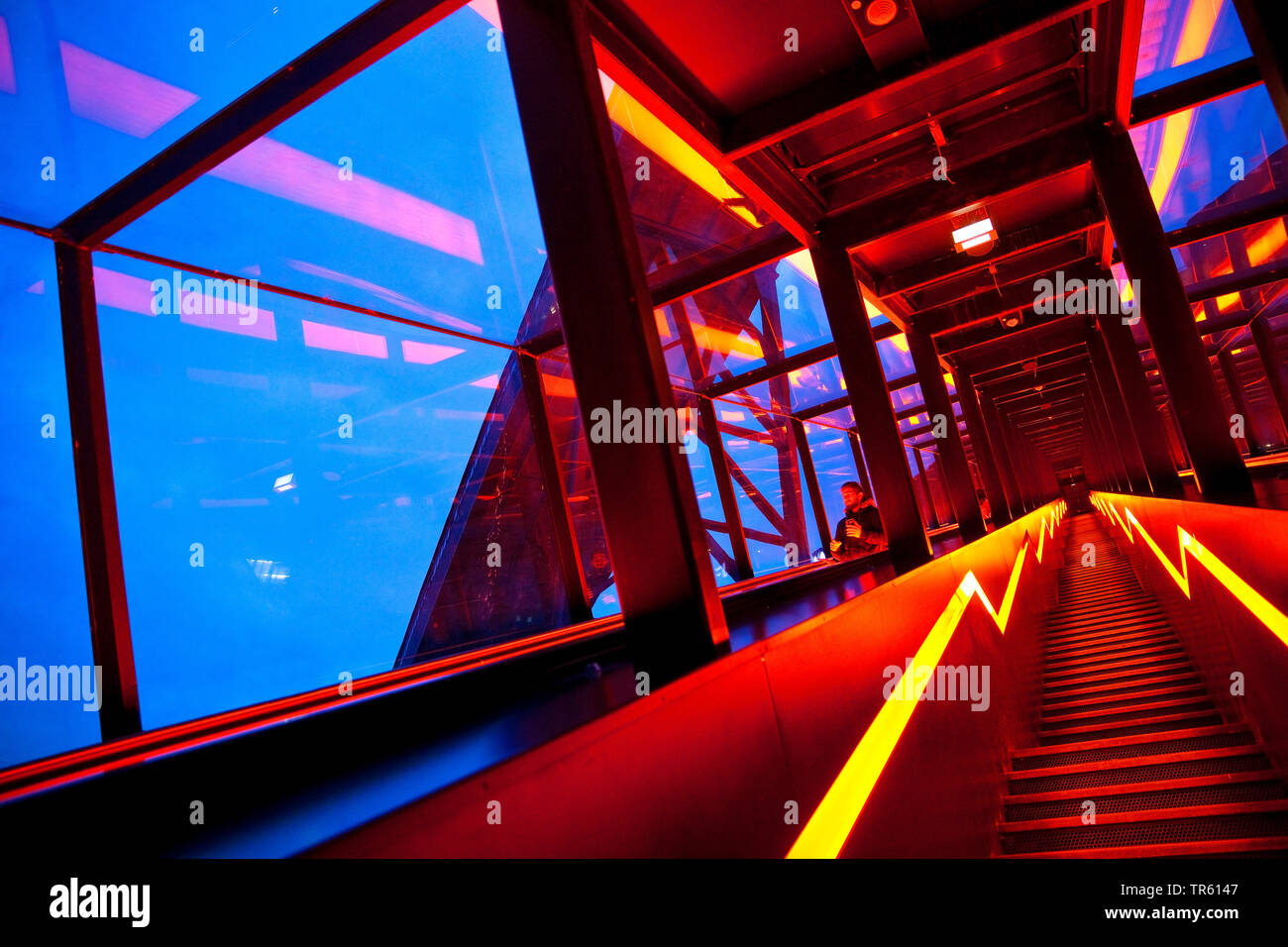Beleuchtete Treppen das Ruhr Museum, Zeche Zollverein, Zollverein, Deutschland, Nordrhein-Westfalen, Ruhrgebiet, Essen Stockfoto