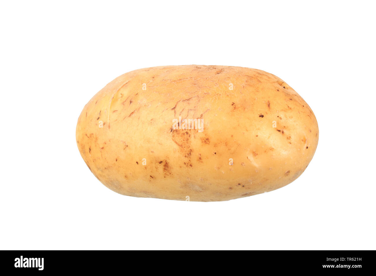 Kartoffel (Solanum tuberosum Talent), Kartoffel der Sorte Talent, Ausschnitt Stockfoto