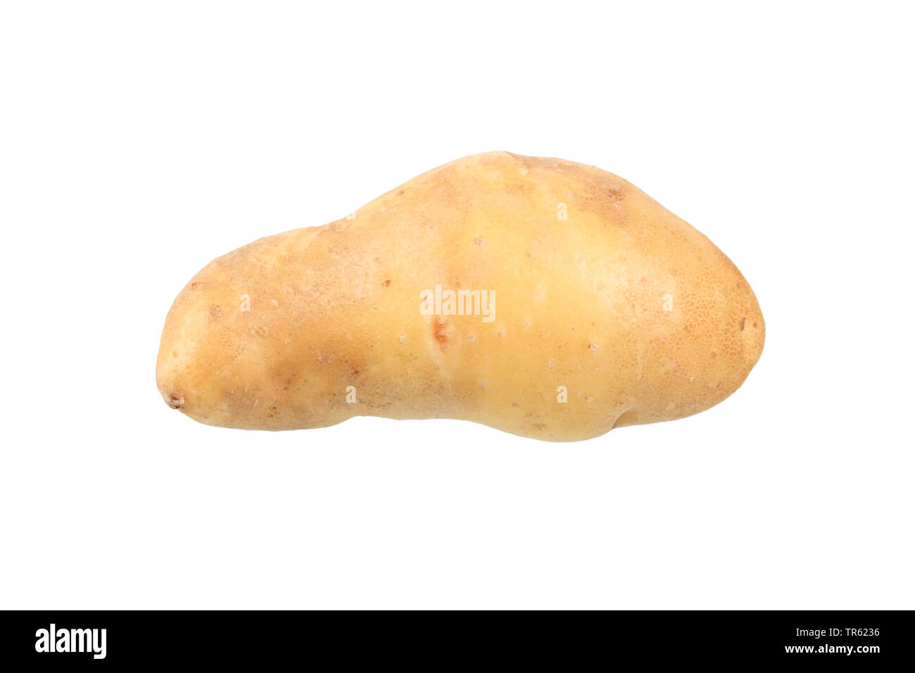 Kartoffel (Solanum tuberosum La Ratte d'Ardeche), Kartoffel der Sorte La Ratte d'Ardeche, Ausschnitt Stockfoto