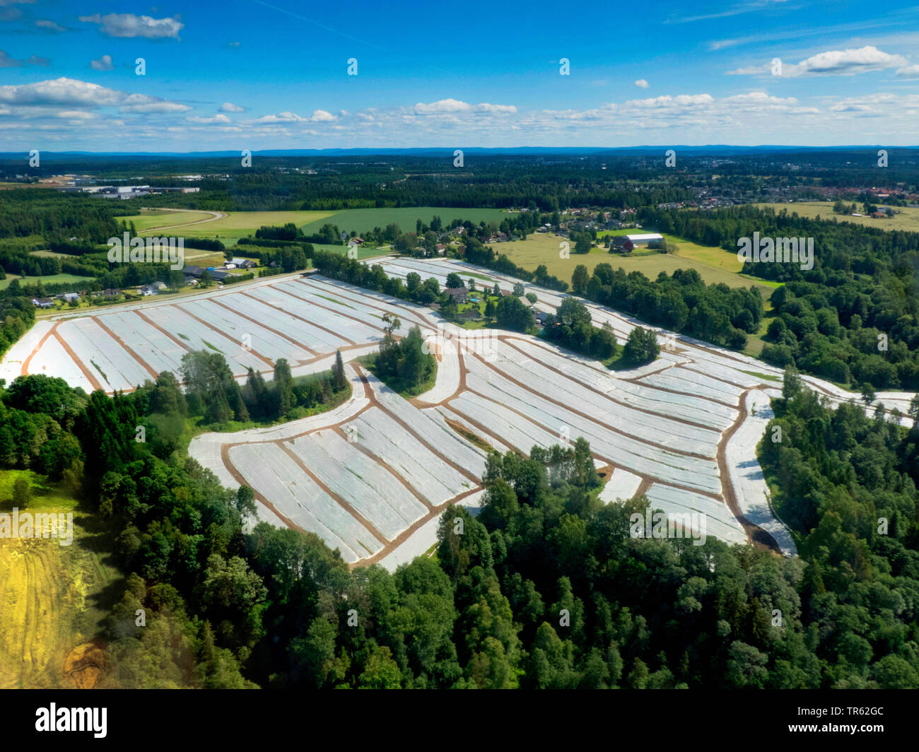 Landwirtschaftliche Landschaft im südlichen Norwegen, Norwegen, Akershus, Gardermoen Stockfoto