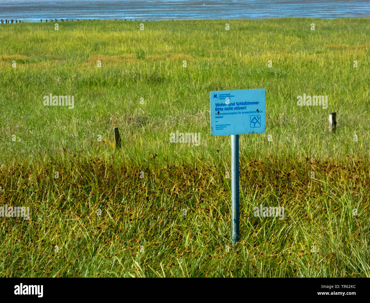 Rastplatz in Nationalpark Gezeiten Meer, Deutschland, Niedersachsen, Ostfriesland, Norddeich Stockfoto