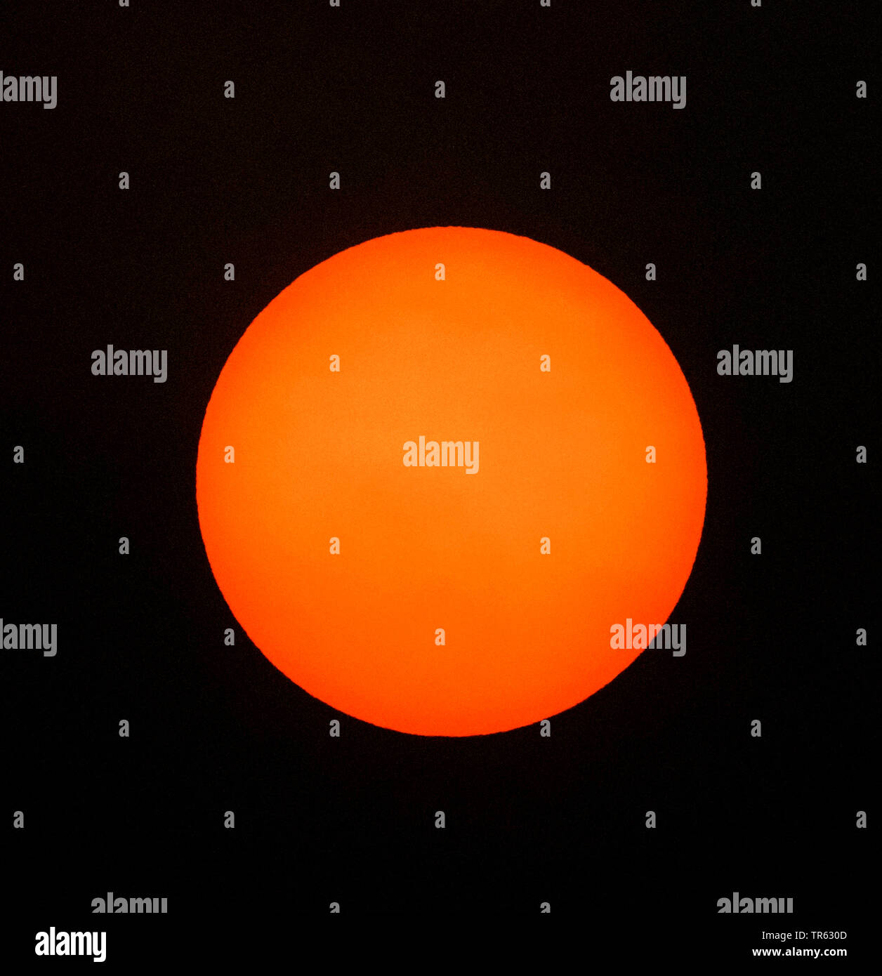 Rote Sonne über Hamburg nach Waldbrand in Portugal und in Spanien, Deutschland, Hamburg Stockfoto