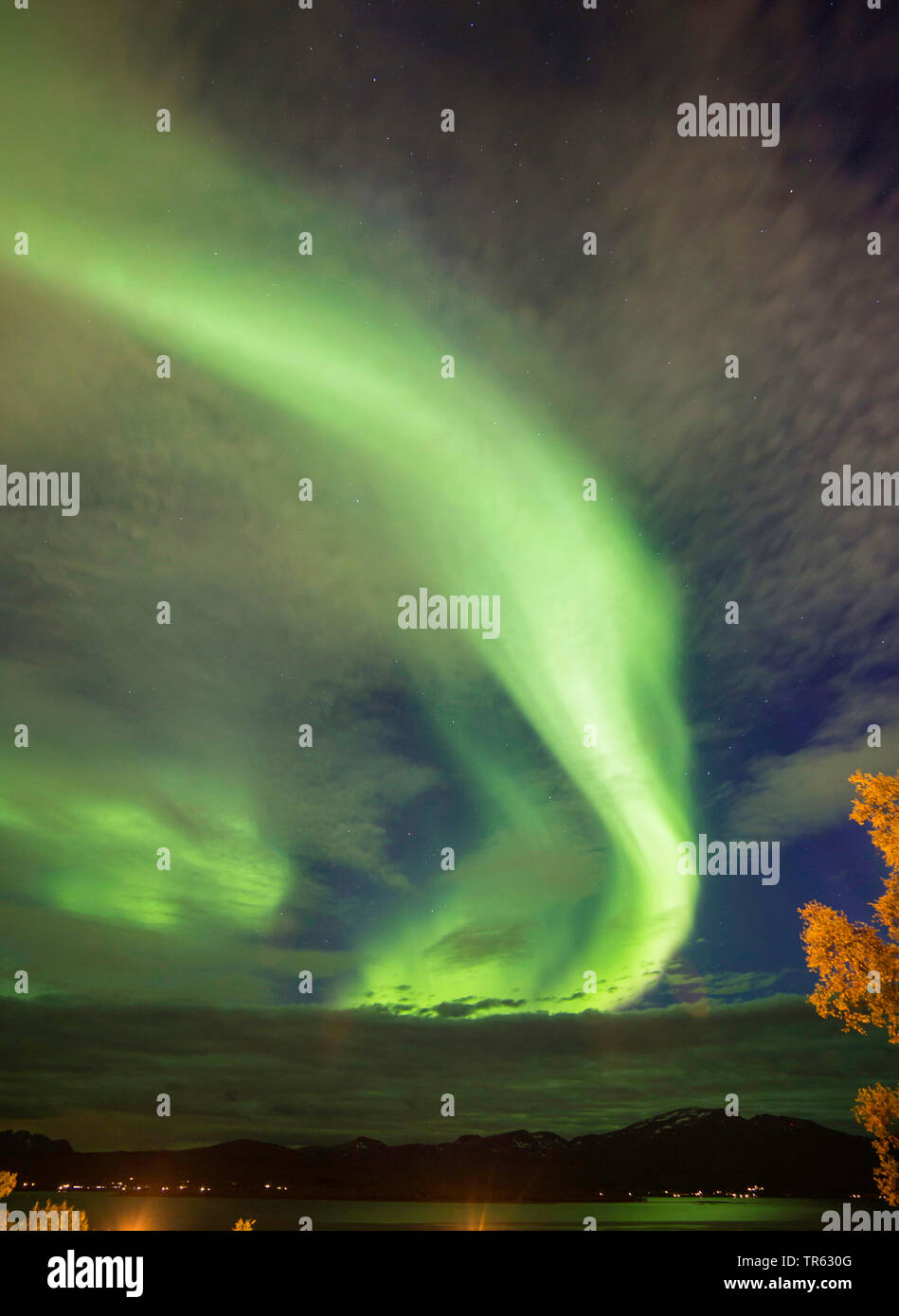 Aurora mit Wolken, Norwegen, Troms, Tromsoe Stockfoto