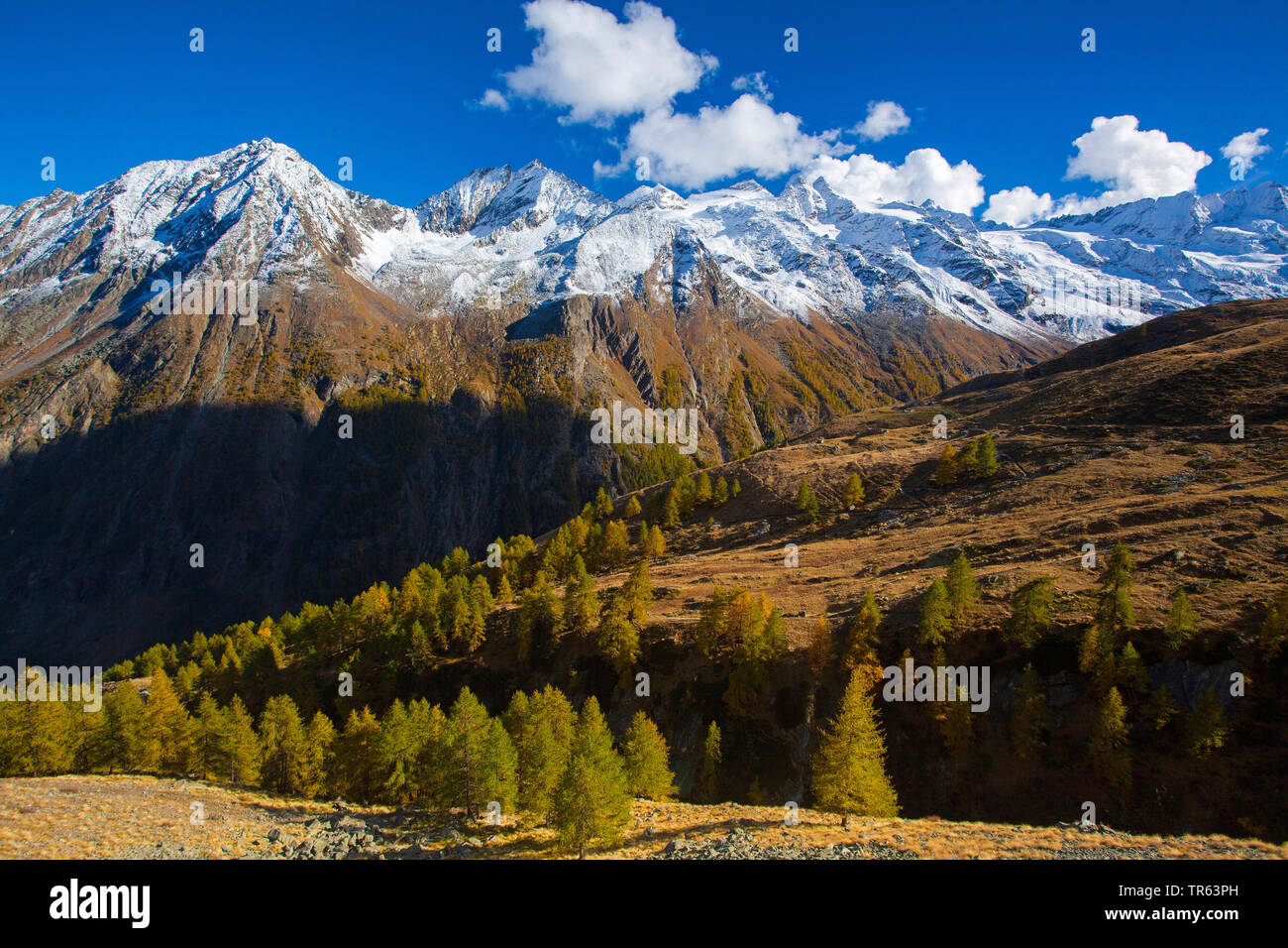 Tal des Valnontey, Cogne, Italien, Aostatal, Nationalpark Gran Paradiso Stockfoto
