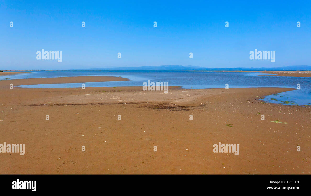 Riomar Strand, Ebro Delta, Deltebre, Costa Daurada, Spanien, Katalonia, Ebrodelta Stockfoto
