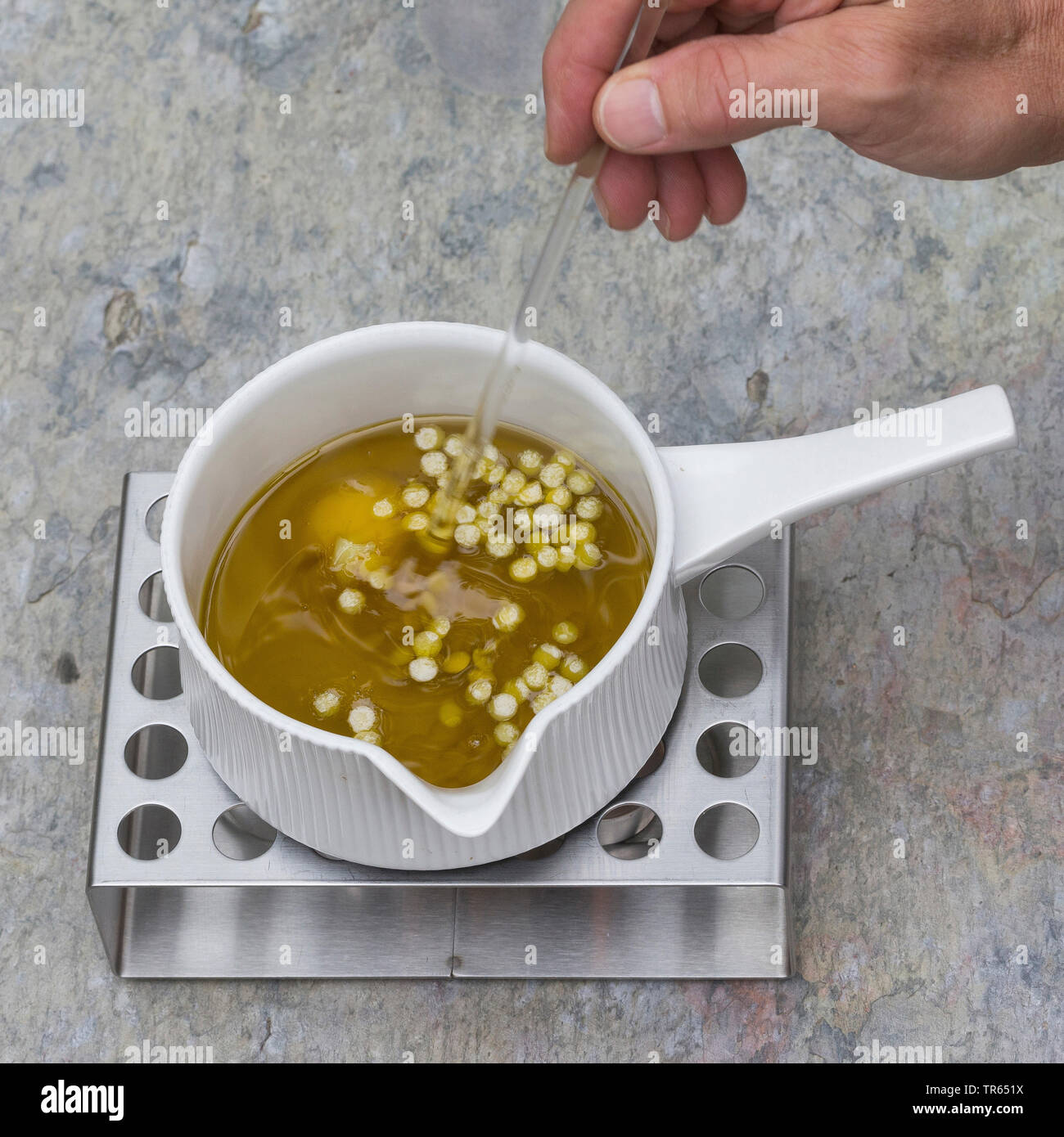 Gemeinsame Nachtkerze (Oenothera biennis), Produktion von nachtkerzenöl Creme, Schritt 5: Öl, Lanolin eine Biene Wachs wird in einem Topf auf einem wärmeren, Serie Bild 5/10 gerührt, Deutschland Stockfoto