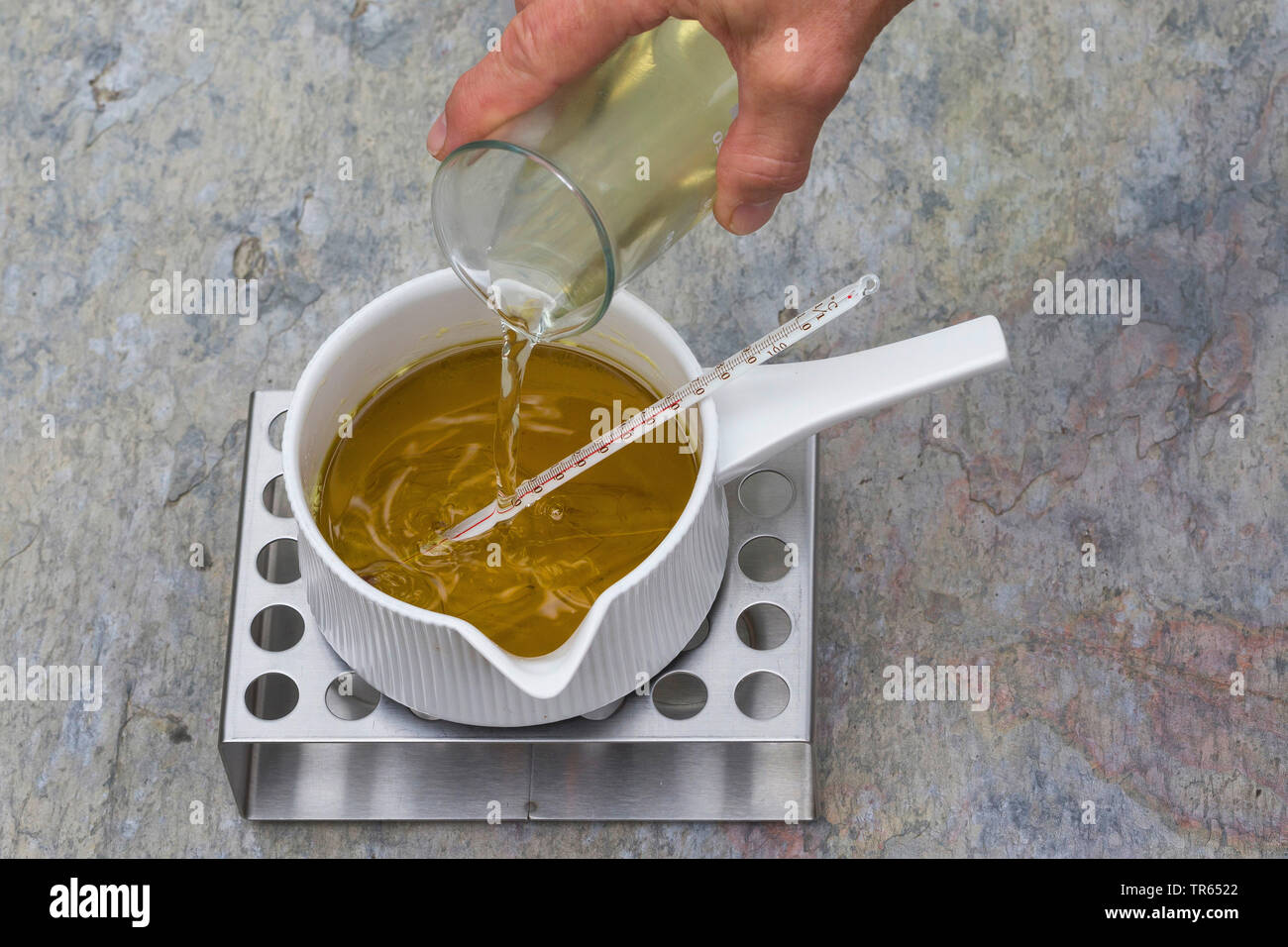 Gemeinsame Nachtkerze (Oenothera biennis), Produktion von nachtkerzenöl Creme, 7 Schritt: primrose Kaffee wird hinzugefügt Tu die Mischung aus Öl, Lanolin und Bienenwachs in einem Topf auf einem wärmeren, Serie Bild 7/10, Deutschland Stockfoto