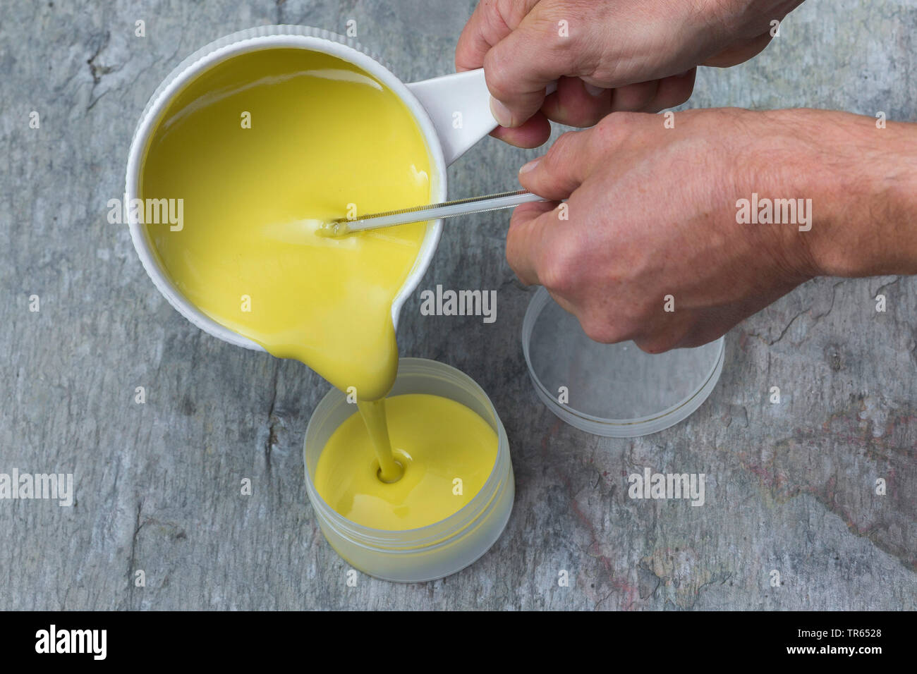 Gemeinsame Nachtkerze (Oenothera biennis), Produktion von nachtkerzenöl Creme, 9 Schritt: bereit Creme von primrose Kaffee, Öl, Lanolin und Bienenwachs ist in einer Box pourred, Serie Bild 9/10, Deutschland Stockfoto