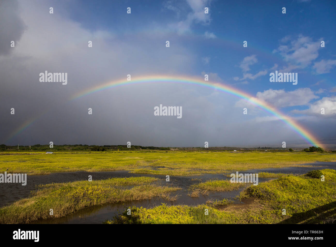 Regen und Regenbogen über Salt Lake, USA, Hawaii, Kealia Pond, Kihei Stockfoto
