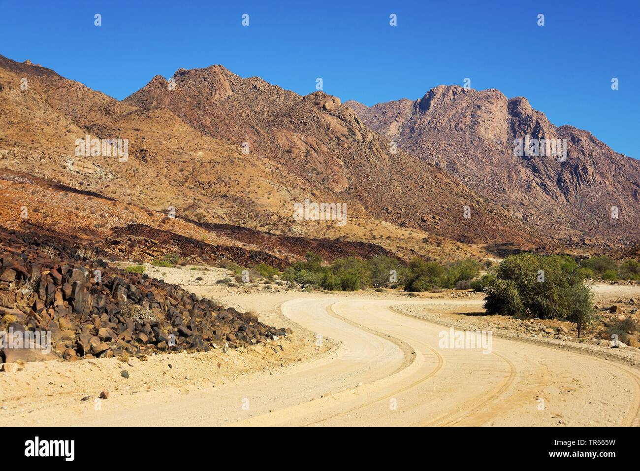 Brandberg, Namibia, Erongo, Brandberg Stockfoto