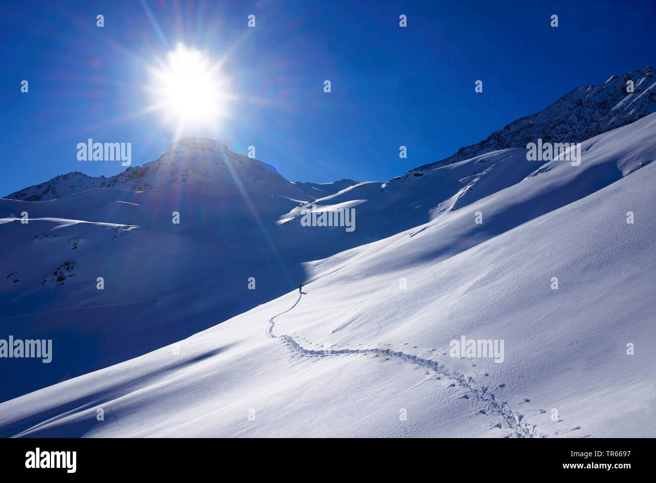 Skitouren Spuren in den Schnee zu Pointe de la Sana in Hintergrundbeleuchtung, Frankreich, Savoie, Val d Isere Stockfoto