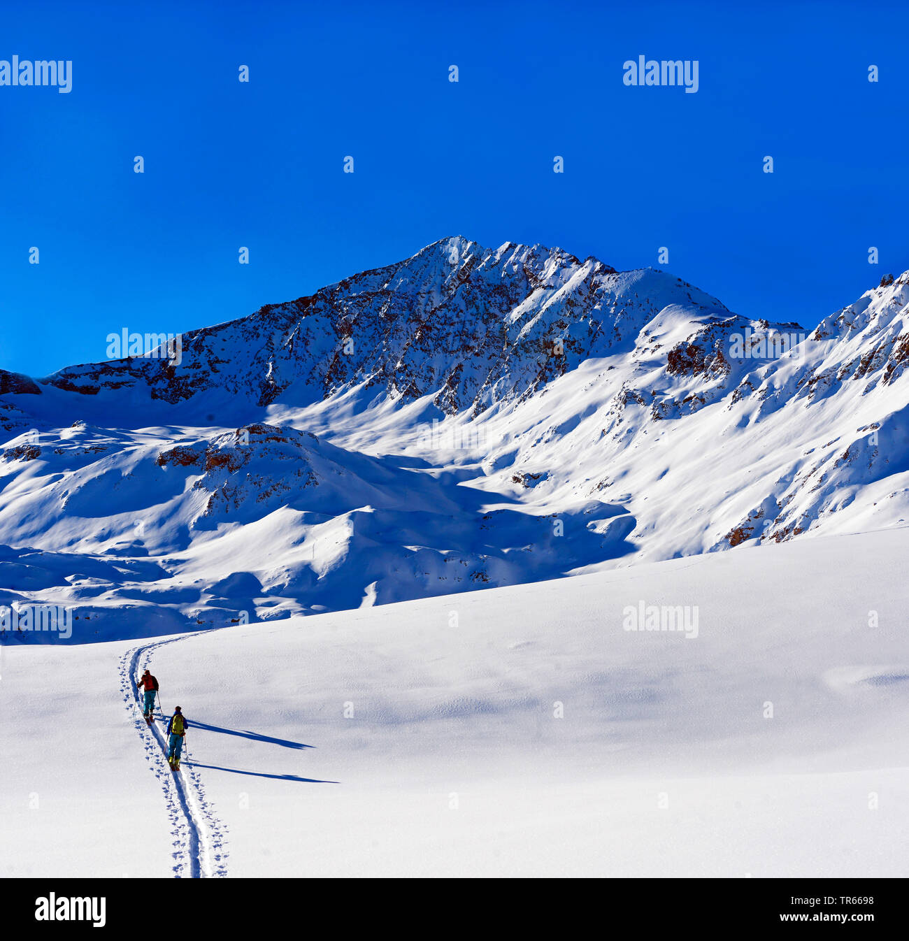 Skitouren, Pointe de la Sana, Frankreich, Savoie, Val d Isere Stockfoto