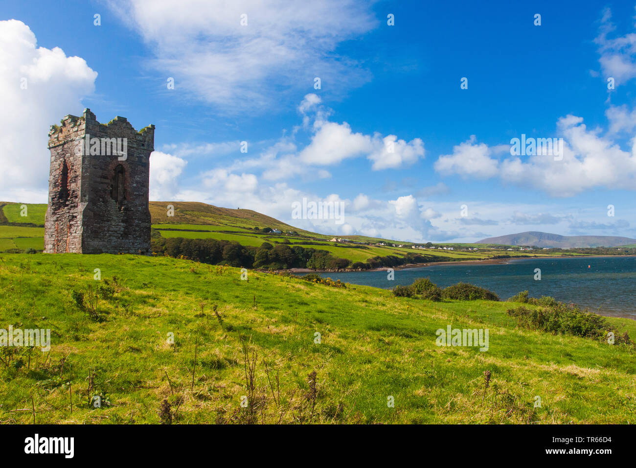 Turm an der Bucht von Dingle, Irland, Ring of Kerry, Dingle Halbinsel Dingle Stockfoto