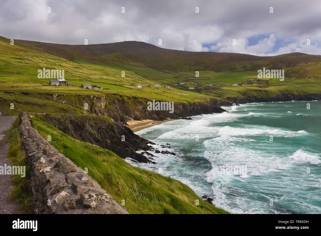 An der felsigen Küste der Halbinsel Dingle, Ring of Kerry, Irland, County Kerry, Dingle Halbinsel Dingle Stockfoto