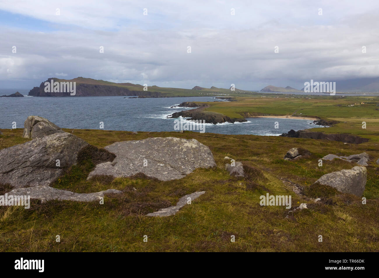 Landschaft der Halbinsel Dingle, Irland, County Kerry, Dingle Halbinsel Stockfoto