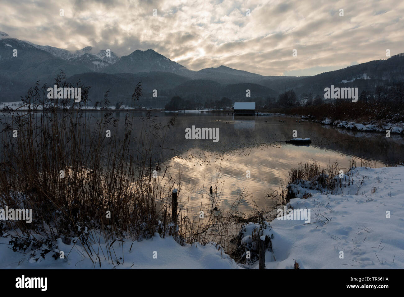 See Kochel am Rande der bayerischen Alpen, Deutschland, Bayern Stockfoto