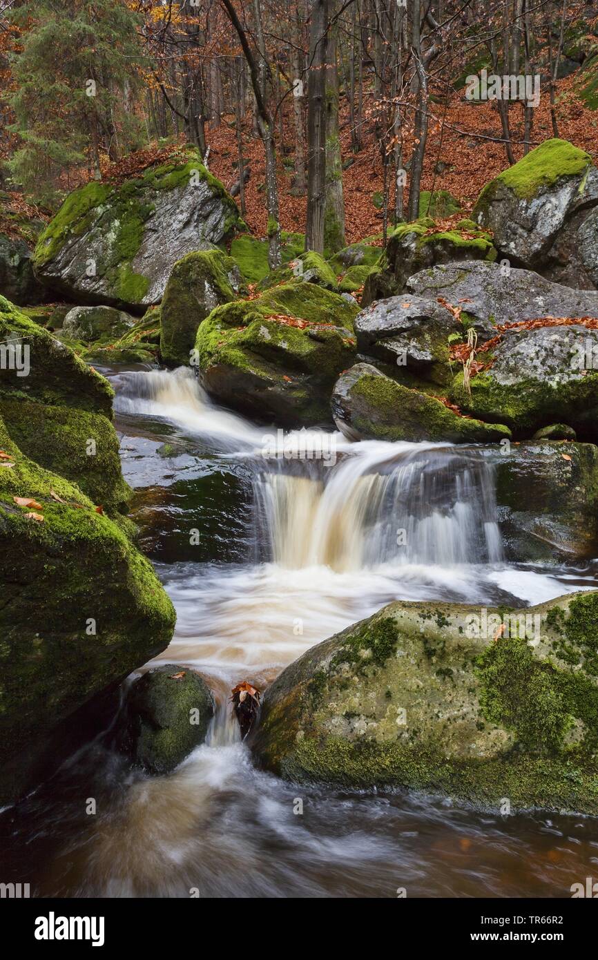 Steinklamm Schlucht im Herbst, Deutschland, Bayern, Nationalpark Bayerischer Wald, Spiegelau Stockfoto