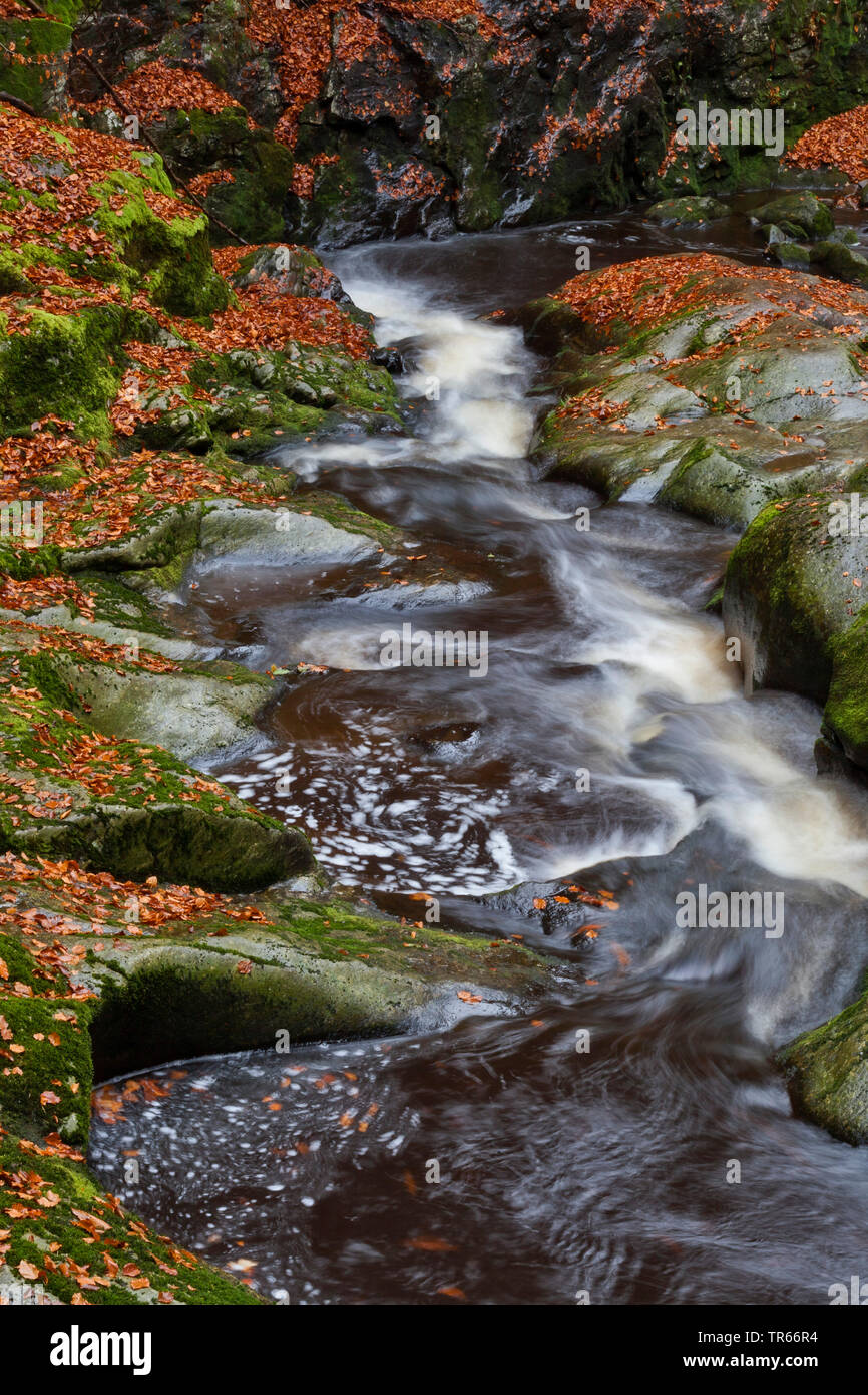 Steinklamm Schlucht im Herbst, Deutschland, Bayern, Nationalpark Bayerischer Wald, Spiegelau Stockfoto