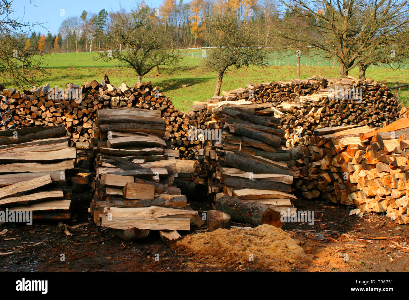 Feuerholz Stapeln auf einem obsthof Wiese, Deutschland Stockfoto