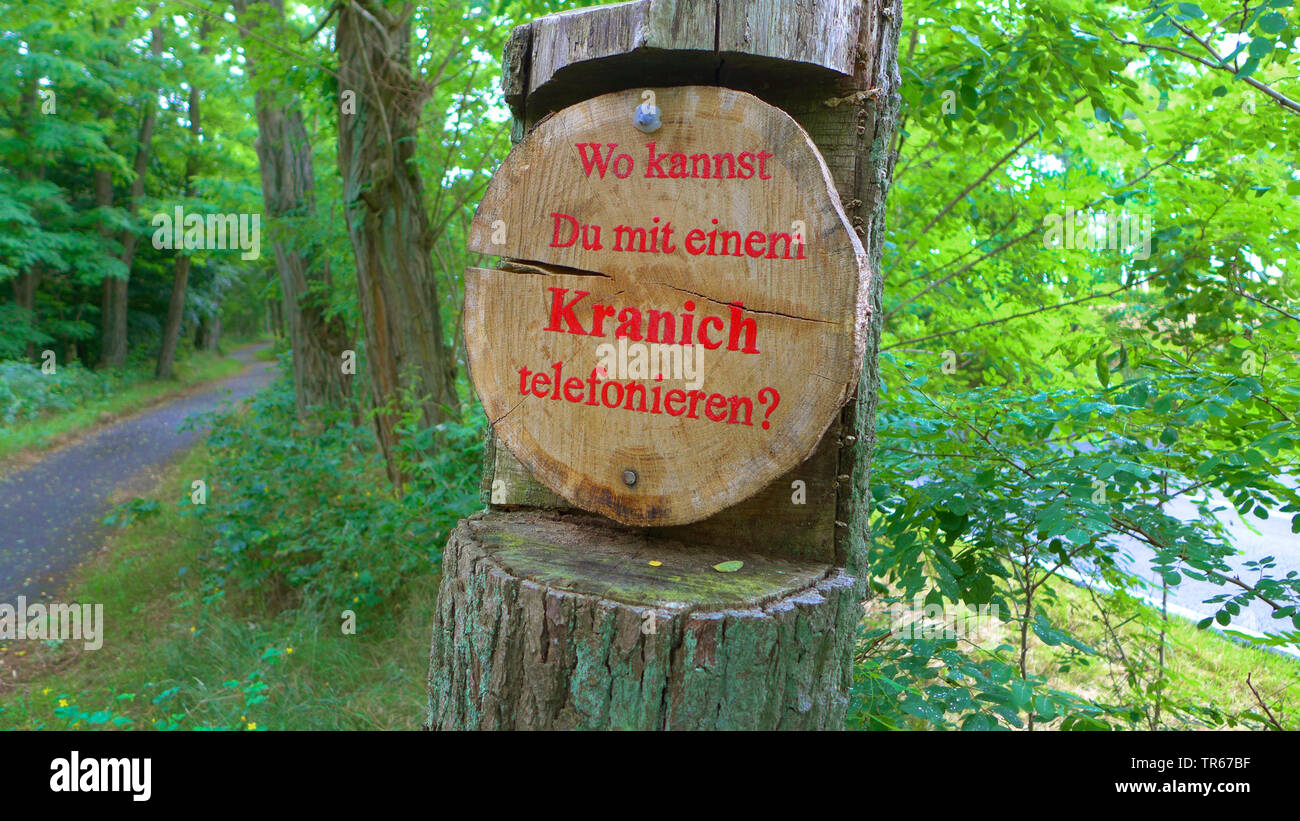 Kranich, Eurasische Kranich (Grus Grus), Natur erleben im Wald, Hinweis für Krane, Deutschland, Mecklenburg-Vorpommern Stockfoto