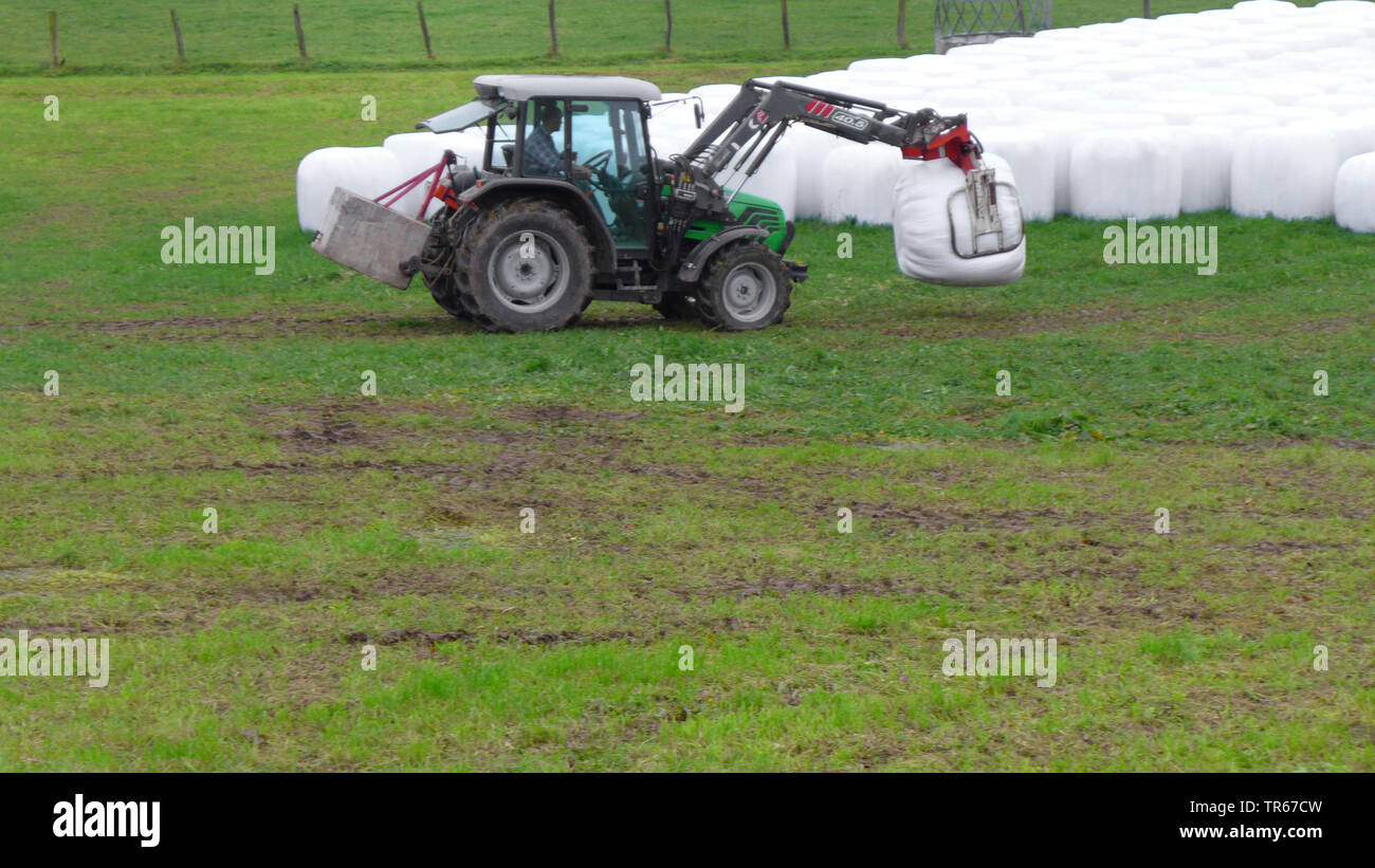 Traktor auf einer Wiese mit Silageballen, Deutschland Stockfoto