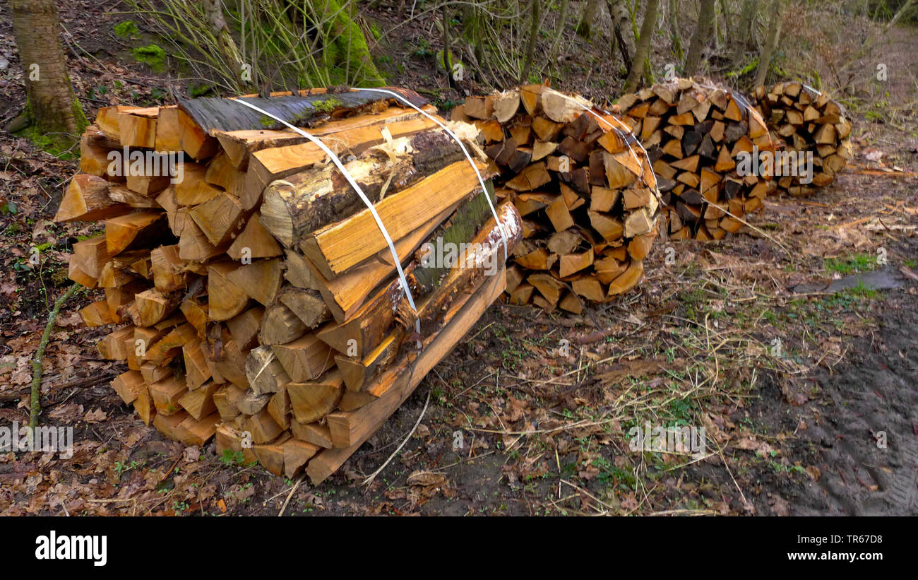 Trauben von Split Holz, Deutschland Stockfoto