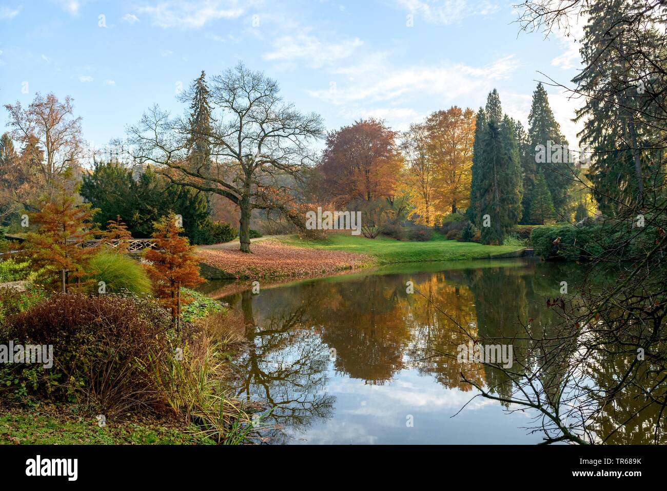 Garten im Herbst Pruhonice Prag, Tschechien Stockfoto