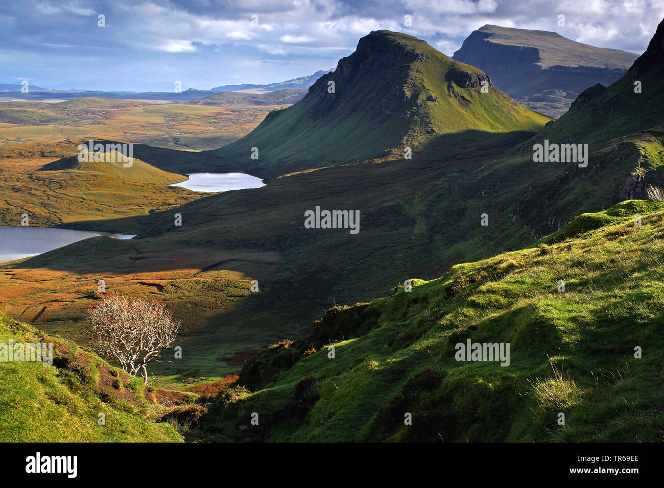 Landschaft am Quiraing, Vereinigtes Königreich, Schottland, Isle of Skye Stockfoto
