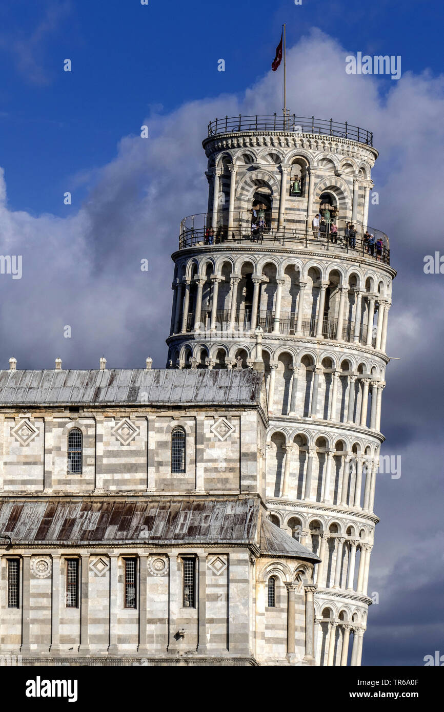 Schiefe Turm von Pisa hinter der Kathedrale, Italien, Toskana, Pisa Stockfoto