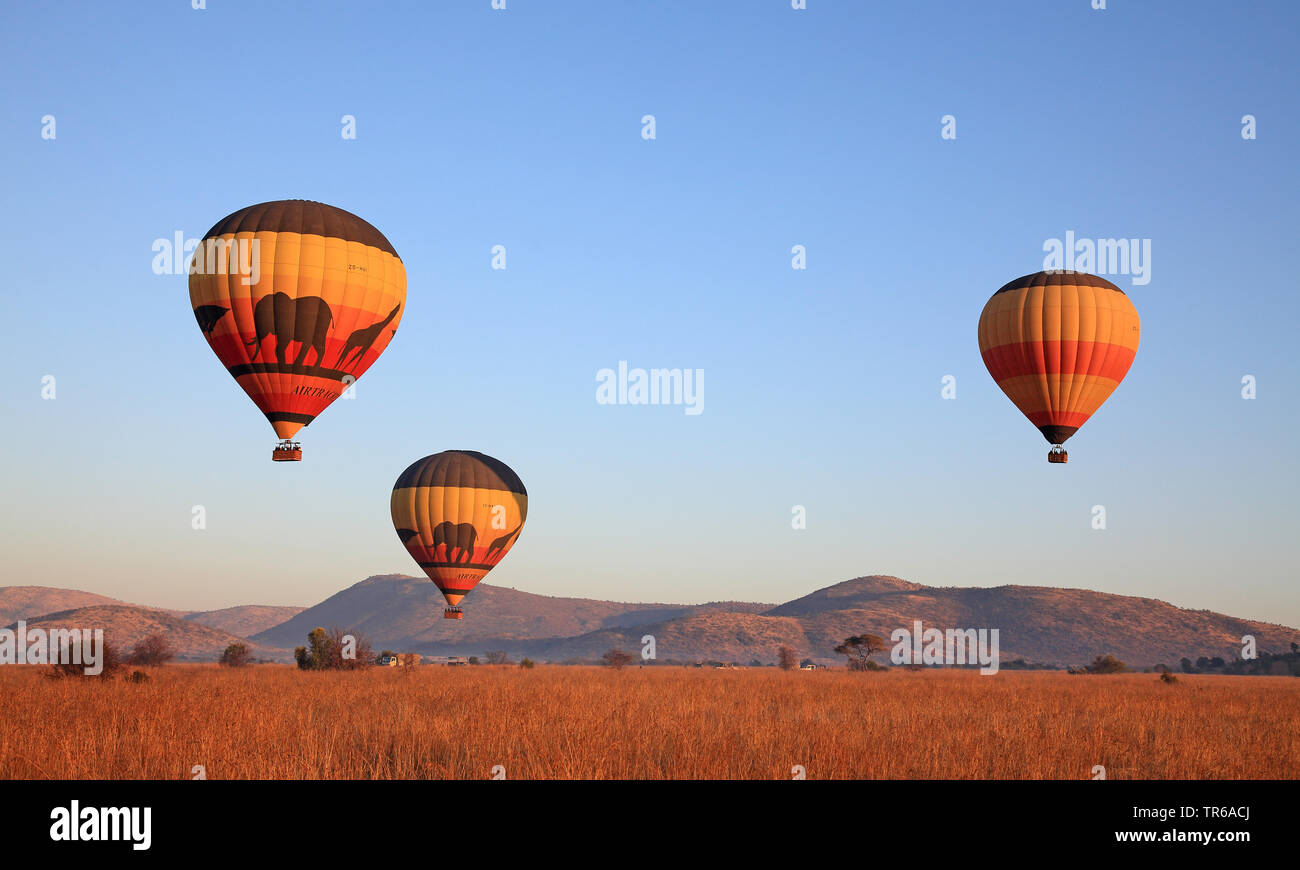 Heißluftballons über den Pilanesberg Nationalpark, Südafrika, North West Provinz, Pilanesberg National Park Stockfoto