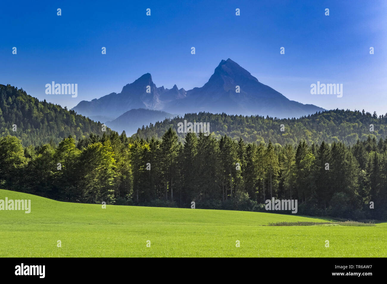 Alle-TP 170105, bayerische Landschaft mit Watzmann Massif, Deutschland, Bayern, Oberbayern, Oberbayern, Berchtesgaden Stockfoto