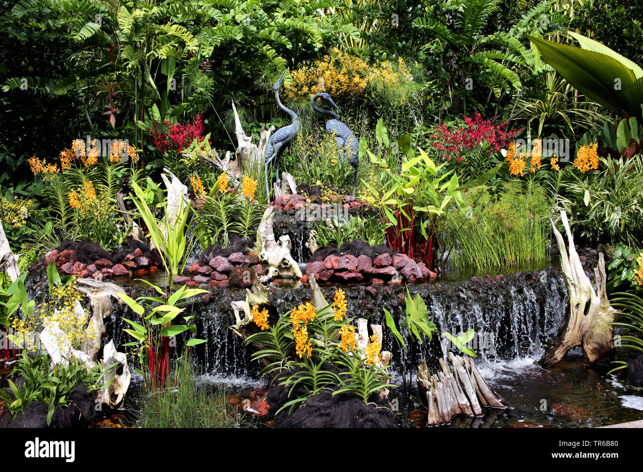 National Orchid Garden Singapure, Singapur Stockfoto