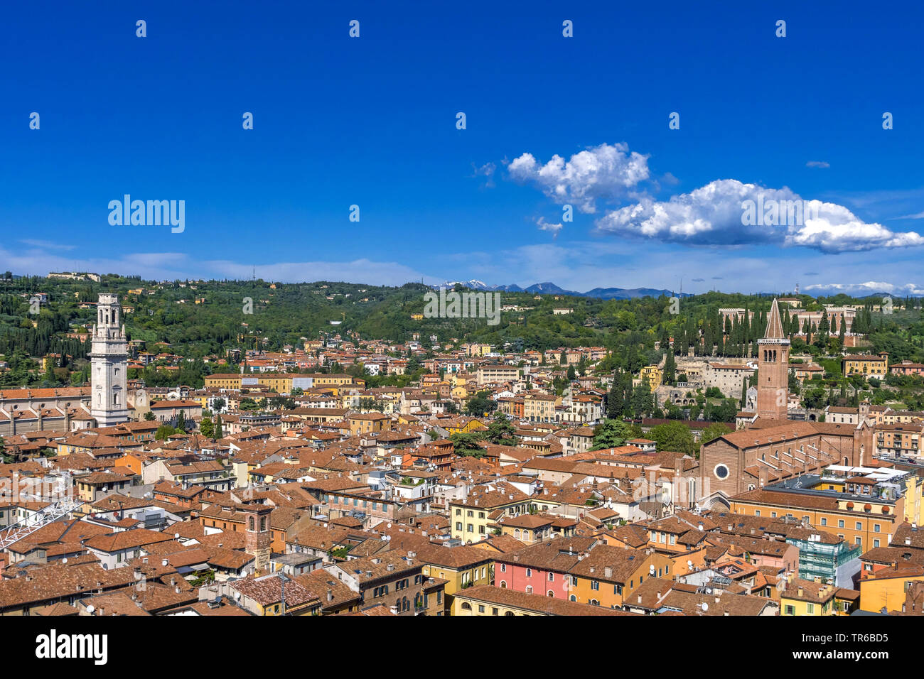 Blick vom Torre Dei Lamberti über die Stadt mit Duomo di Verona und Sant'Anastasia, Italien, Venetien, Verona Stockfoto