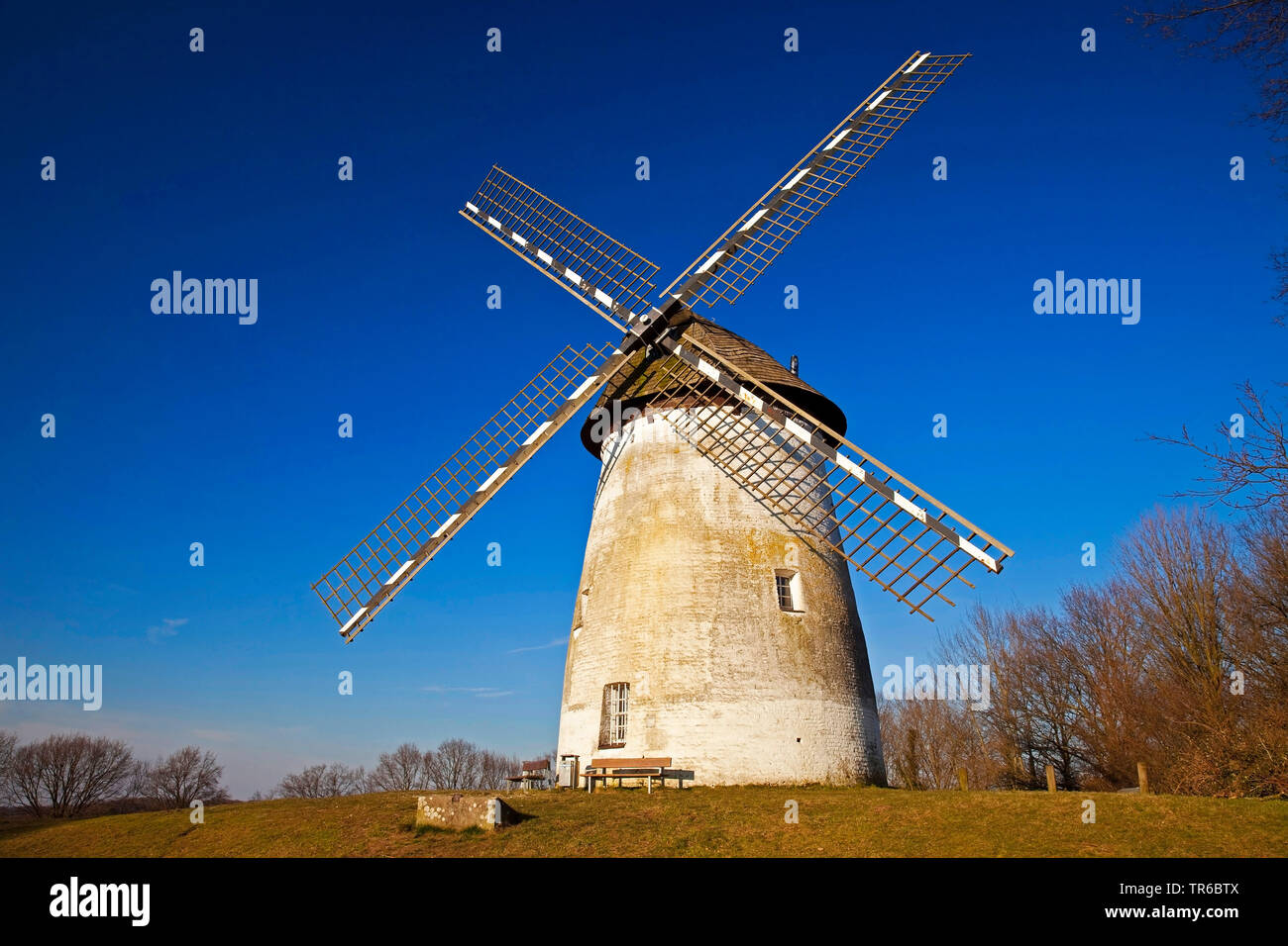 Mühle Egelsberg in Krefeld, Deutschland, Nordrhein-Westfalen, Niederrhein, Krefeld Stockfoto