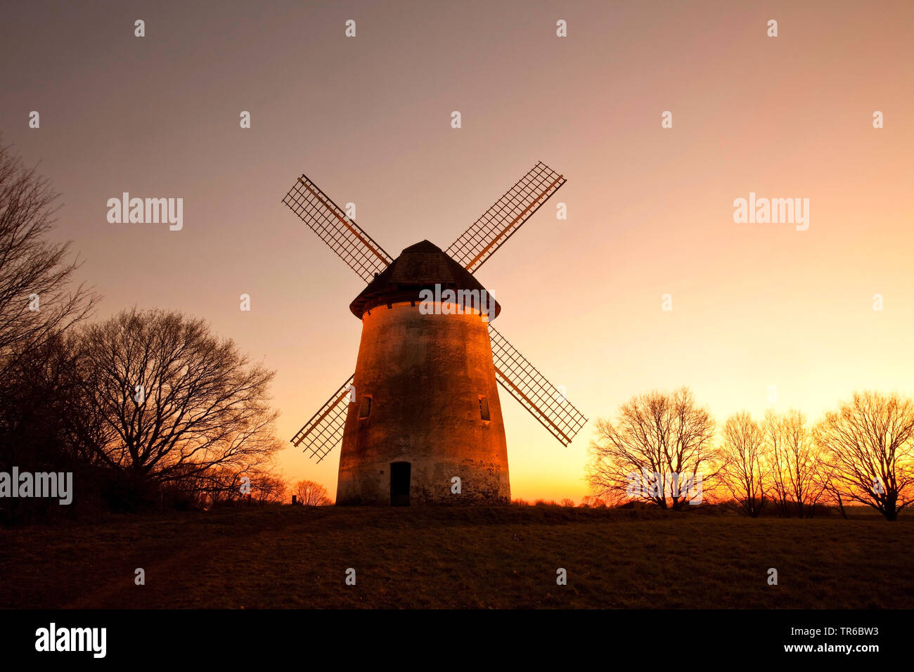 Mühle bei Sonnenuntergang Egelsberg in Krefeld, Deutschland, Nordrhein-Westfalen, Niederrhein, Krefeld Stockfoto