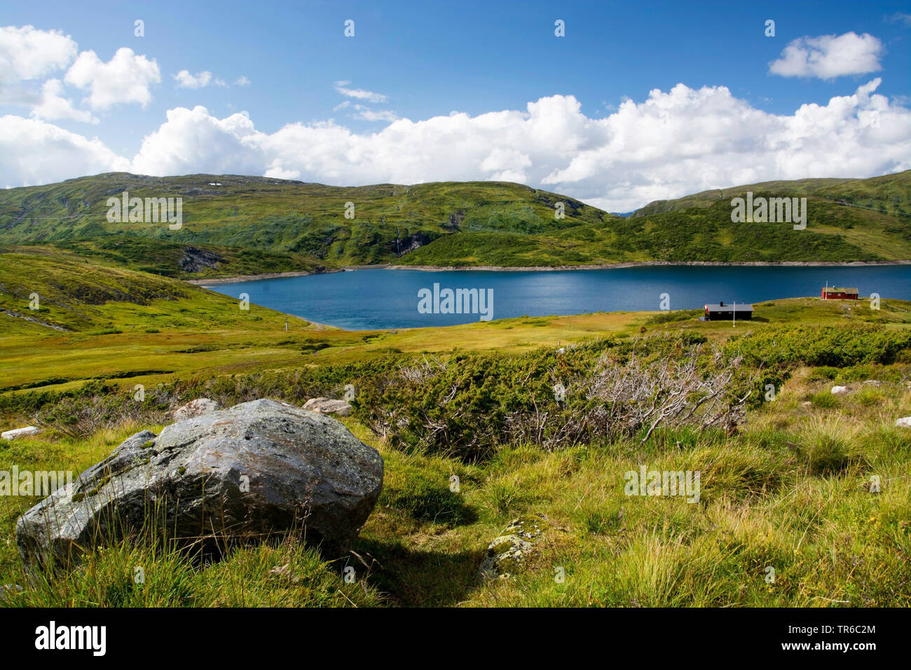 Vikafjell, Norwegen, Hordaland, Vikafjell Stockfoto